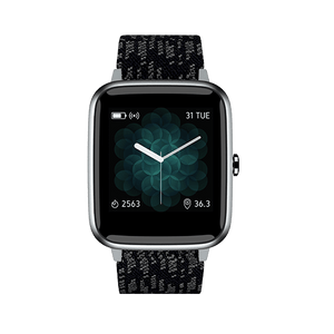 Noise ColorFit Pro 2 Full Touch Control Smart Watch
