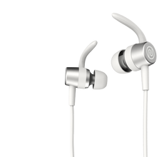 Load image into Gallery viewer, Noise TuneSPORT Bluetooth Wireless Sports Earphones with Mic (Winter Grey)
